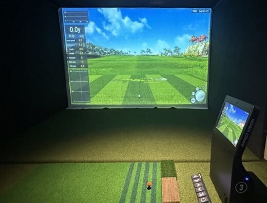 Albatross Screen Golf