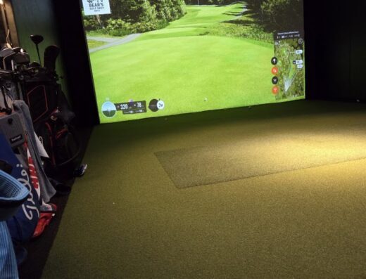 Bear’s Virtual Golf